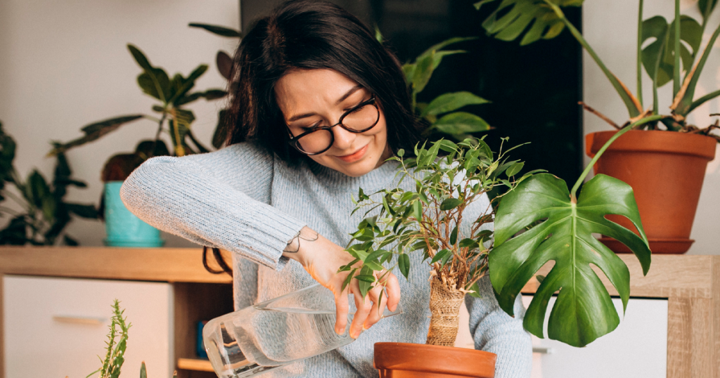 Tendencia para Plantas en 2026